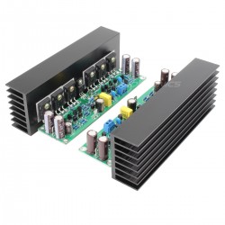 LJ L15 Modules Amplificateur 150W 8 ohm double mono (La paire)