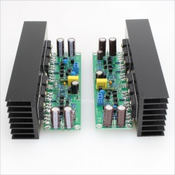 LJ L15 Amplifier boards 150W 8 ohm mono (Pair)