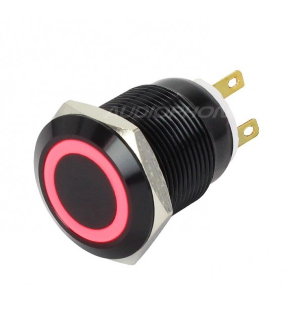 Anodized Aluminum Push Button with Red Light Circle 1NO1NC 250V 5A ...