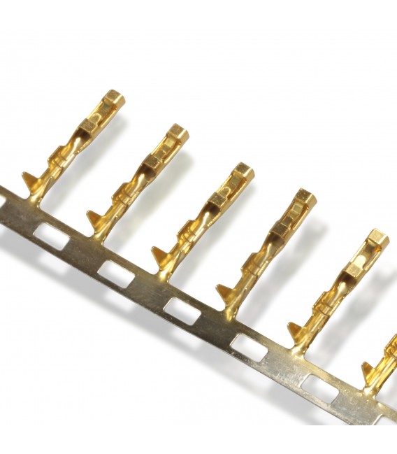 AMP 2.54mm Female Conductor Gold Plated (x10) - Audiophonics