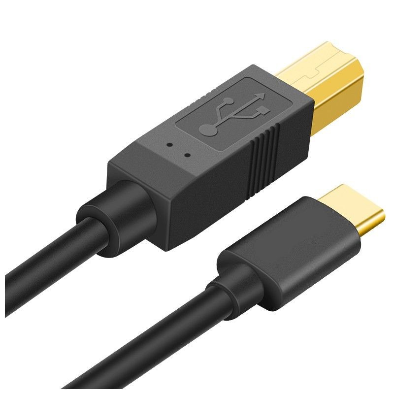 Audiophonics - Câble USB 3.1 USB-B mâle vers USB-C réversible mâle OTG 1m