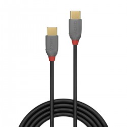 Câble USB-C Mâle vers Lightning Mâle Plaqué Or 2m - Audiophonics