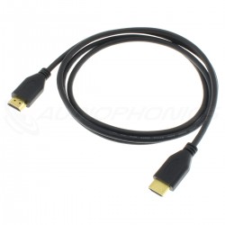 Duronic HDC01 / 2m – Câble HDMI blindé 1.4 - 2 mètres – Connecteurs en  plaqué or 24K inclinable et rotatif- permet la transmission de signal Full  HD