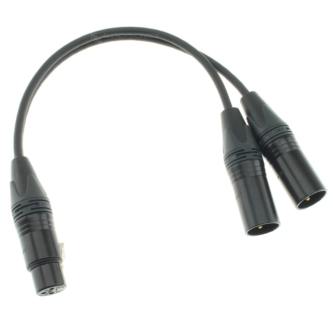 Devine 901 set de câbles micro XLR mâle - XLR femelle