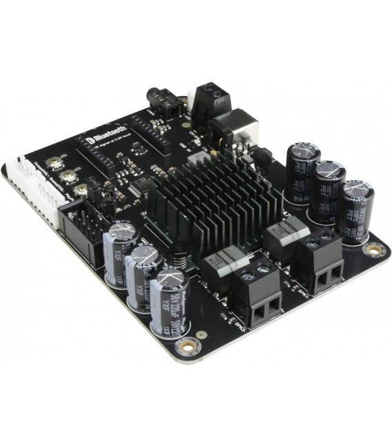 TINYSINE TSA7802A Amplifier Module TPA3116D2 DSP