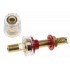 Acrylic Isolated Speaker Terminals Gold Plated Ø16mm x 65mm (Pair)