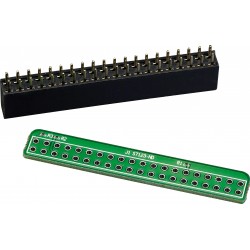 IAN CANADA GPIO 40PIN SMD Extension Kit