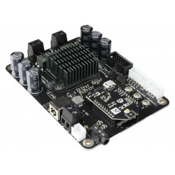 TINYSINE TSA7802A Module Amplificateur TPA3116D2 (Party Mode)