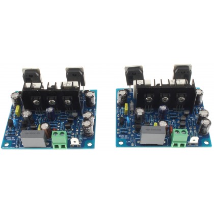 LJM MX50 SE Mono Amplifier Boards 100W 8Ω (Pair)