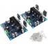 LJM MX50 SE Mono Amplifier Modules 100W 8Ω (Pair)