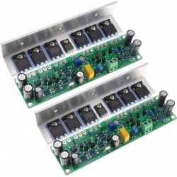 LJM L15 Modules Amplificateur Mono 150W 8Ω (La paire)