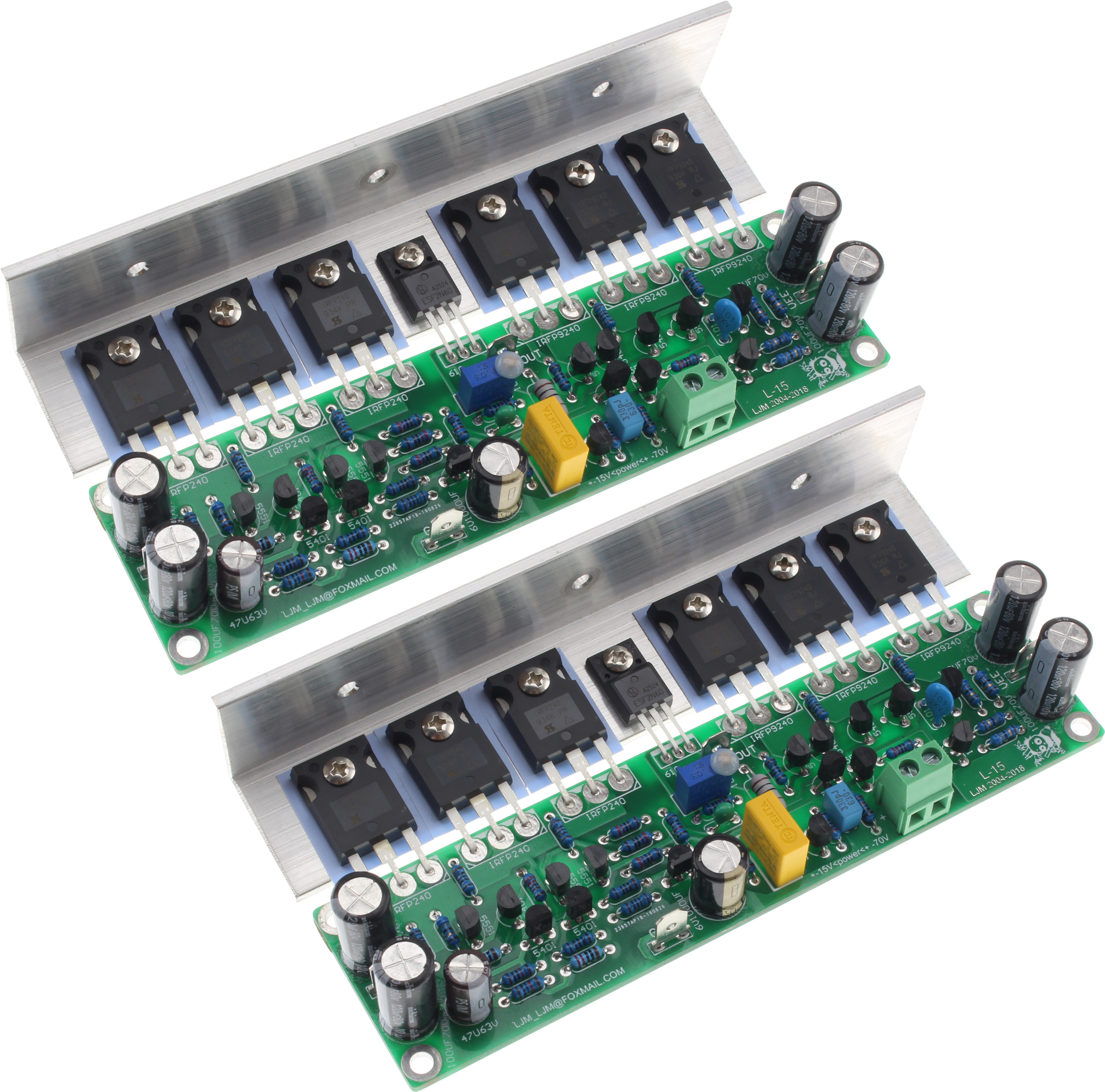 LJM L15 Modules Amplificateurs Mono 150W 8 Ohm (La paire)