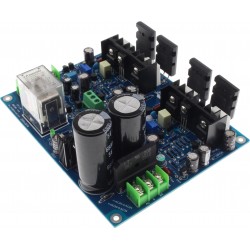 LJM MX100 Stereo Amplifier Boards 100W 8Ω