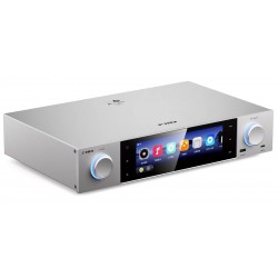 FiiO S15 Lecteur Réseau Audio Préamplificateur DAC AK4191EQ+AK4499EX WiFi Bluetooth Airplay DLNA Roon 32bit 768kHz DSD512 Argent