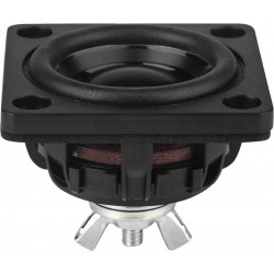 DAYTON AUDIO DMA45-PR Radiateur Passif 60Hz Ø3.8cm