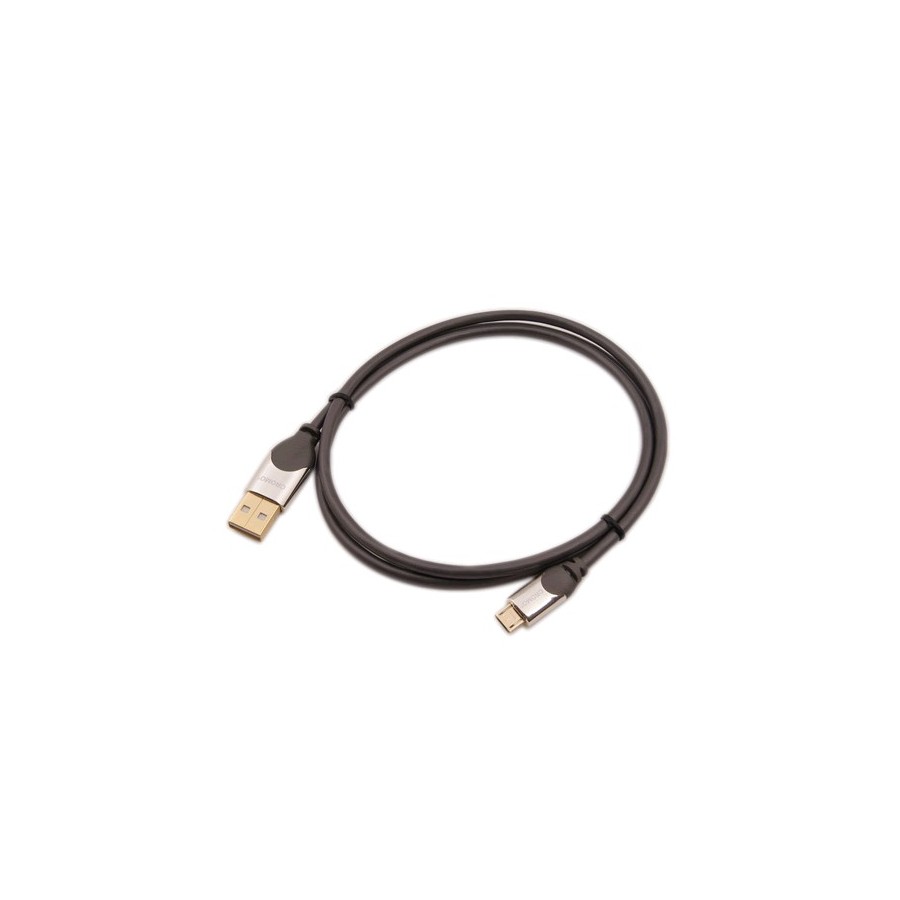 DELOCK Rallonge USB-A Mâle vers USB-A Femelle 3.0 Plaqué Or 1m -  Audiophonics