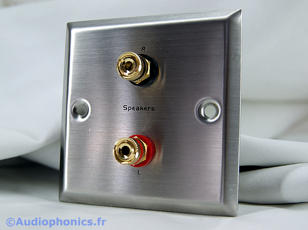 Audiophonics - DYNAVOX Wall Plate 2 Speaker Terminals 24k Gold Plated