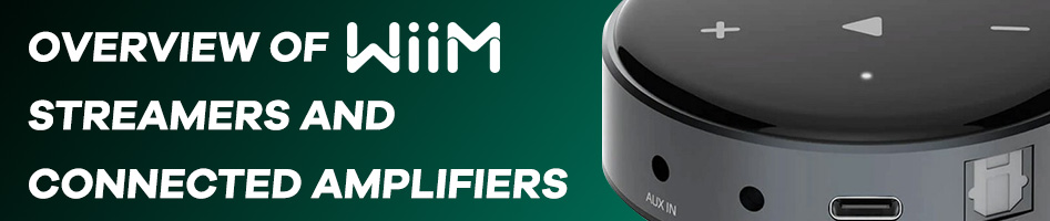 Discover the WiiM streamers series: WiiM mini, WiiM Pro, WiiM Pro + and WiiM  Amp - Audiophonics Blog