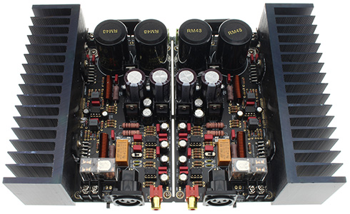 module amplificateur mono