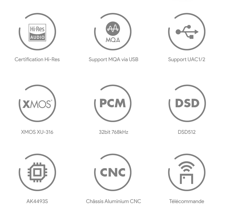 SMSL D12 DAC AK4493S XMOS XU316 Bluetooth 5.0 32bit 768kHz DSD512 MQA