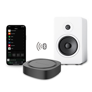 IEAST Audiocast Pro M20 for a connected Hi-Fi system