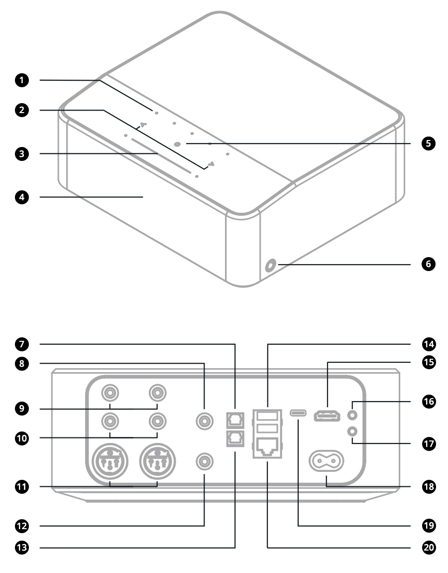 Schéma connectique Bluesound Node Icon