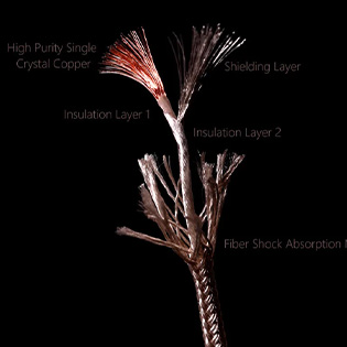 DD Nyx Net Pentaconn structure