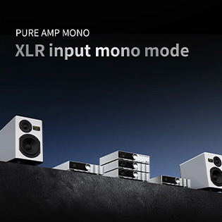 Amplificateur de puissance XLR Mono