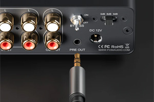 Fosi Audio P4 : Sortie pre-out