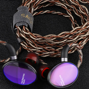 7HZ x Crinacle Salnotes Dioko : earphones with cable